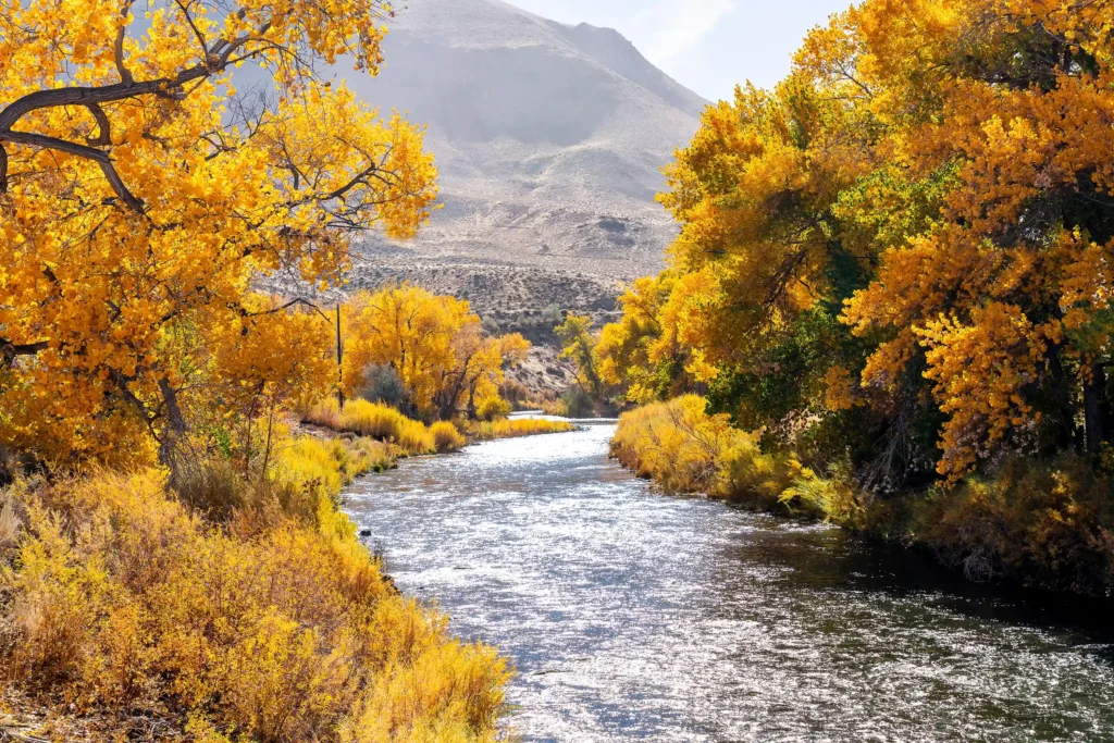 Reno Truckee River
